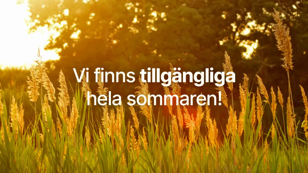 Tillgangliga hela sommaren2