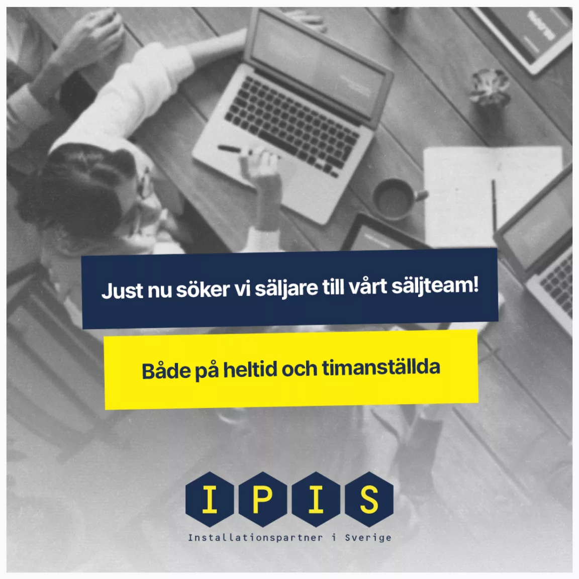 Ipis annons saljare liten