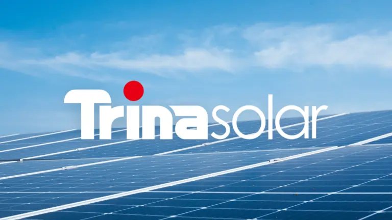 Trinasolar push fullbred